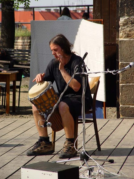2003_Slunovrat_na_Vysehrade_11.jpg