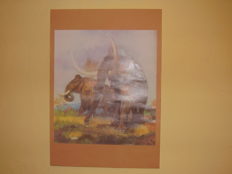 Byl_tam_mamut.JPG
