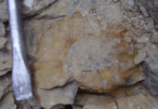 a ctyri