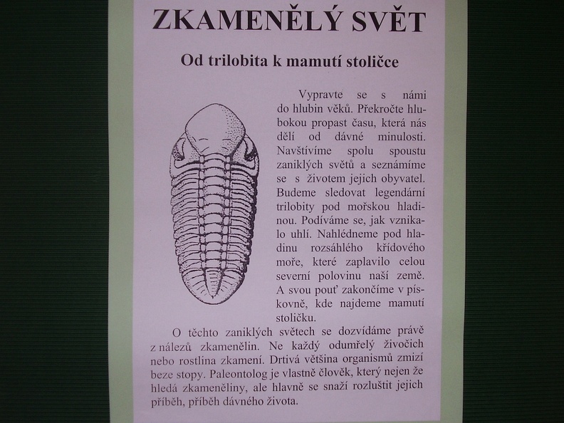 zkamenely_svet_dvacaty_prvni_listopad_dvatisicesedm.JPG