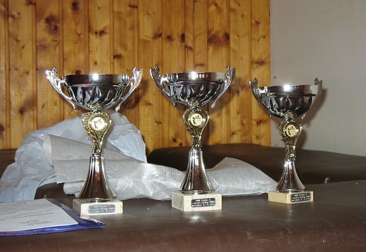 2008-03-10 OGB volejbal holky 03
