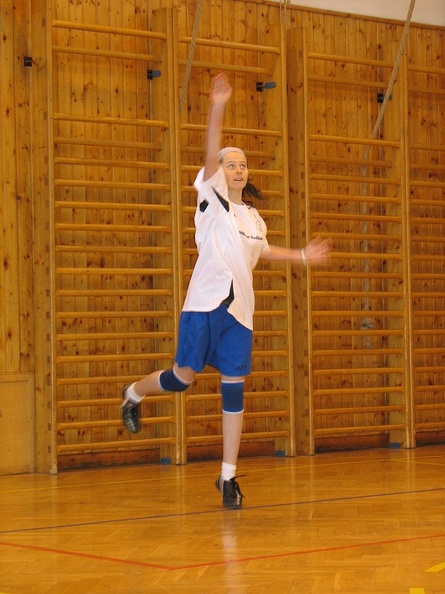 2008-03-10_OGB_volejbal_holky_16.jpg