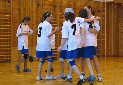 2008-03-10 OGB volejbal holky 17