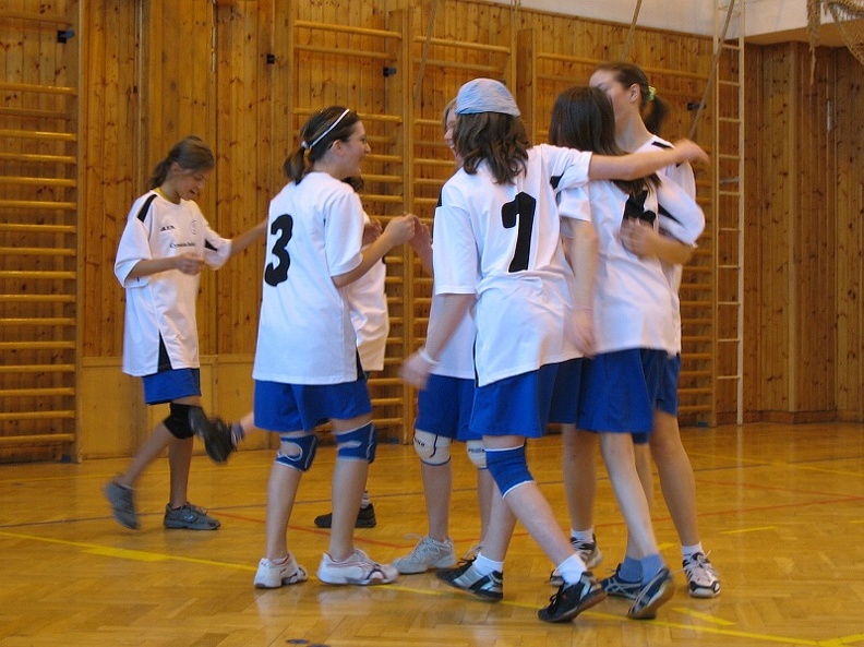 2008-03-10_OGB_volejbal_holky_17.jpg