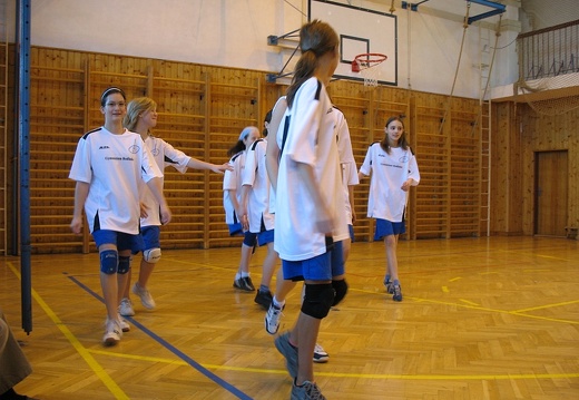 2008-03-10 OGB volejbal holky 19