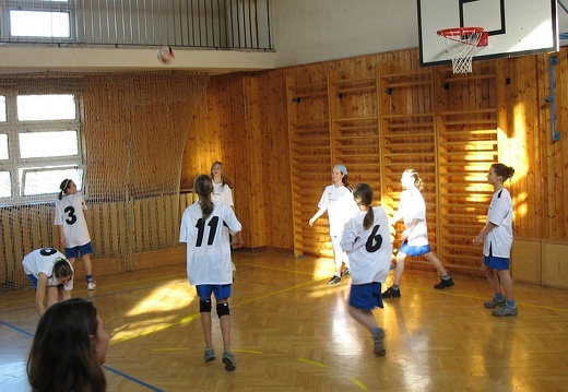 2008-03-10 OGB volejbal holky 21