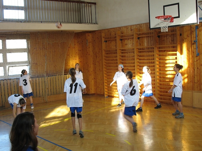 2008-03-10_OGB_volejbal_holky_21.jpg