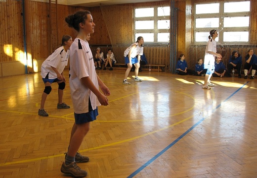 2008-03-10 OGB volejbal holky 23