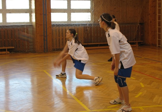 2008-03-10 OGB volejbal holky 25