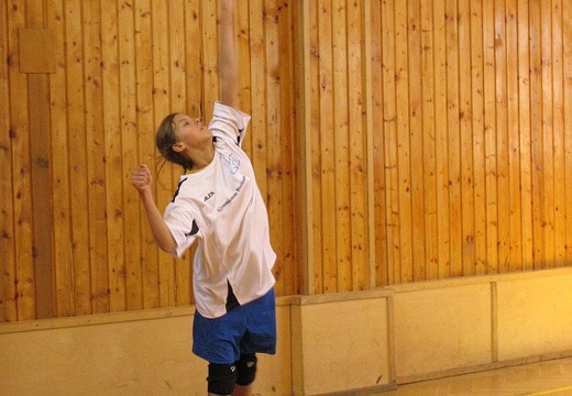 2008-03-10 OGB volejbal holky 34