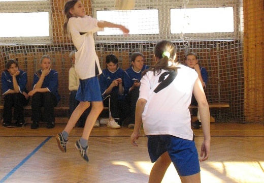 2008-03-10 OGB volejbal holky 36