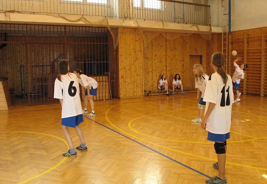 2008-03-10 OGB volejbal holky 43