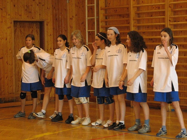 2008-03-10_OGB_volejbal_holky_44.jpg