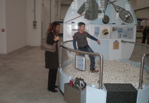 2008 11 26 DOD 001