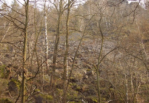 2009 04 06 Exkurze do Sarky 012