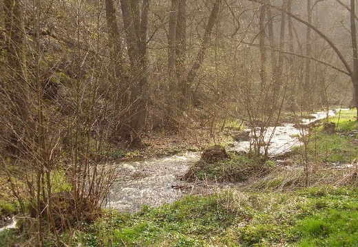 2009 04 06 Exkurze do Sarky 044