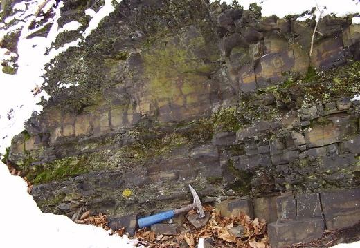 2009 06 18 Geologicka exkurze 002