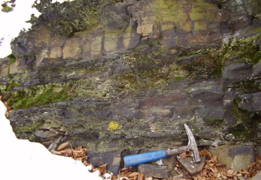 2009 06 18 Geologicka exkurze 008