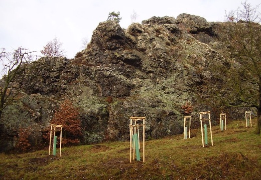 2010 11 20 Geologicka exkurze 001