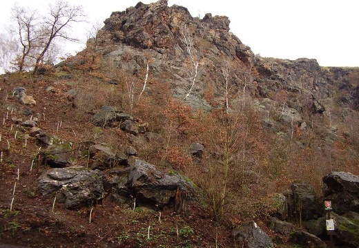 2010 11 20 Geologicka exkurze 002