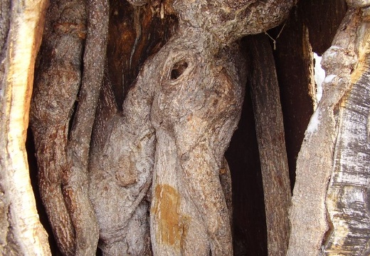 2010 11 20 Geologicka exkurze 004
