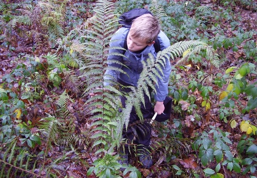 2010 11 20 Geologicka exkurze 005