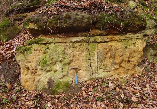 2010 11 20 Geologicka exkurze 006