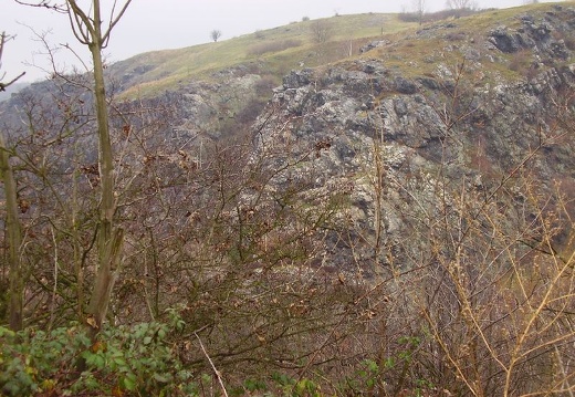 2010 11 20 Geologicka exkurze 009