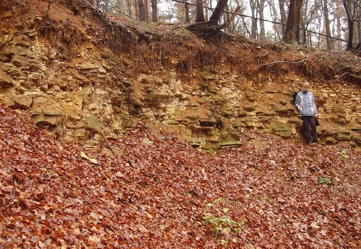 2010 11 20 Geologicka exkurze 018