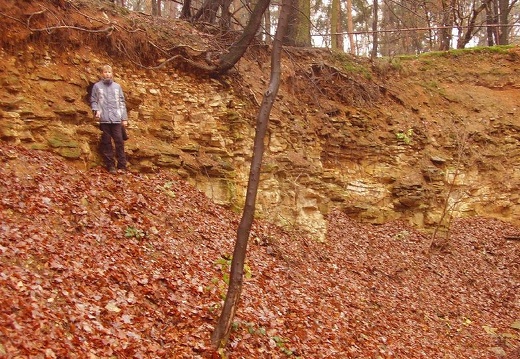 2010 11 20 Geologicka exkurze 021