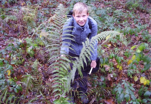 2010 11 20 Geologicka exkurze 022