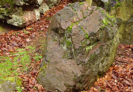 2010 11 20 Geologicka exkurze 024