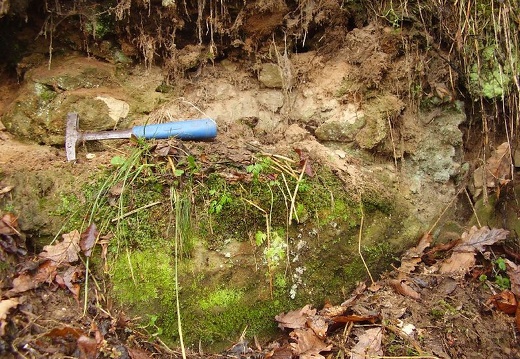 2010 11 20 Geologicka exkurze 032