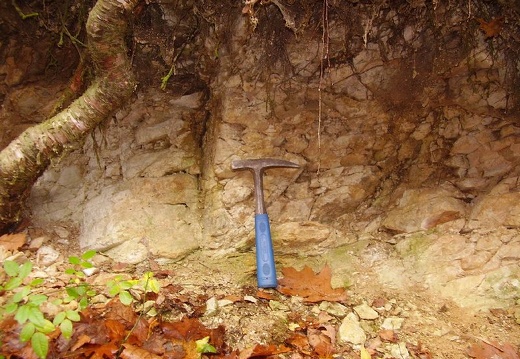 2010 11 20 Geologicka exkurze 034