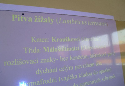 2011 04 19 Den Zeme 014