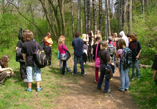 2011 04 28 Prokospke udoli 10