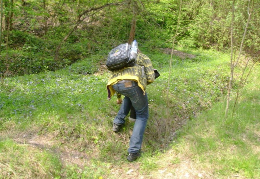 2011 04 28 Prokospke udoli 17