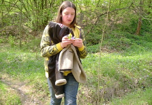 2011 04 28 Prokospke udoli 18