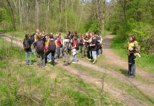 2011 04 28 Prokospke udoli 20