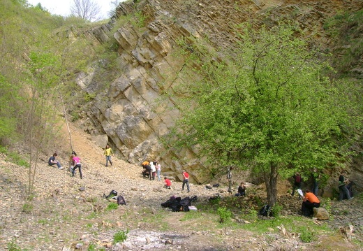 2011 04 28 Prokospke udoli 44