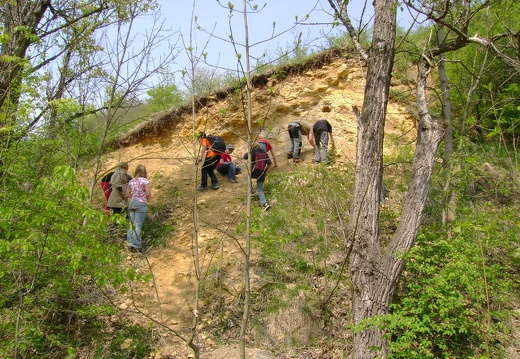 2011 04 28 Prokospke udoli 54
