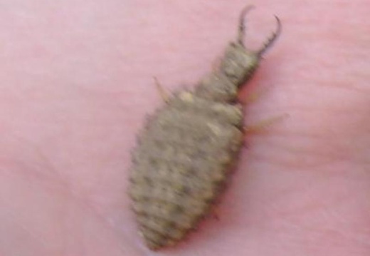 2011 04 28 Prokospke udoli 58