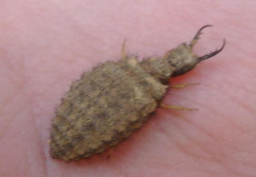 2011 04 28 Prokospke udoli 59