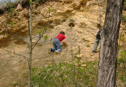 2011 04 28 Prokospke udoli 61