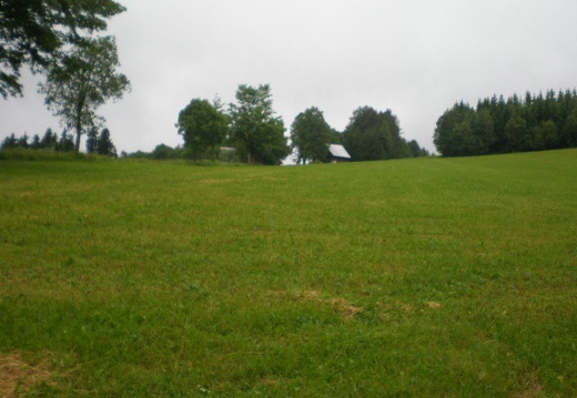 P1010131