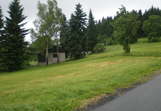 P1010132
