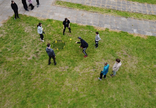 DJI 0230
