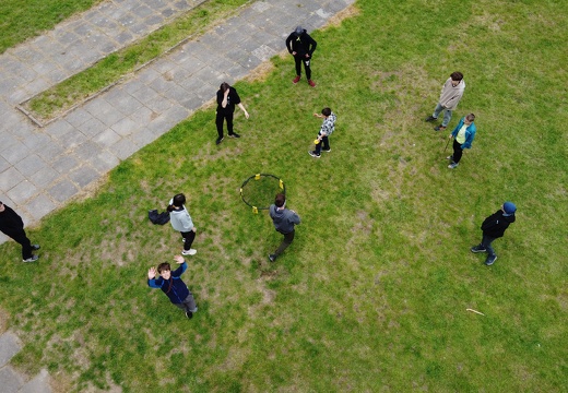 DJI 0233