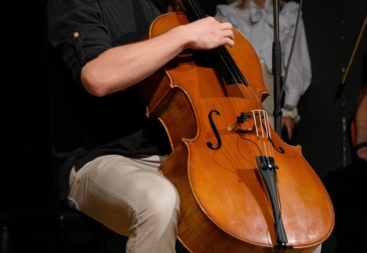 DSC2307