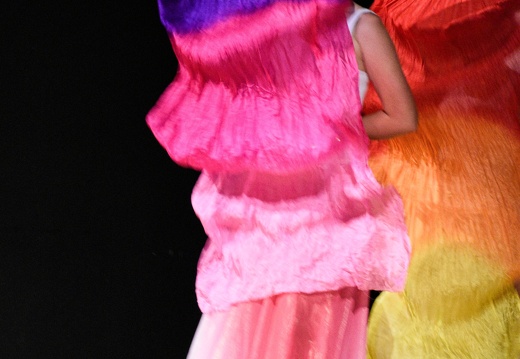 DSC2321